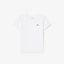 LACOSTE TEE-SHIRT DE SPORT LOGO